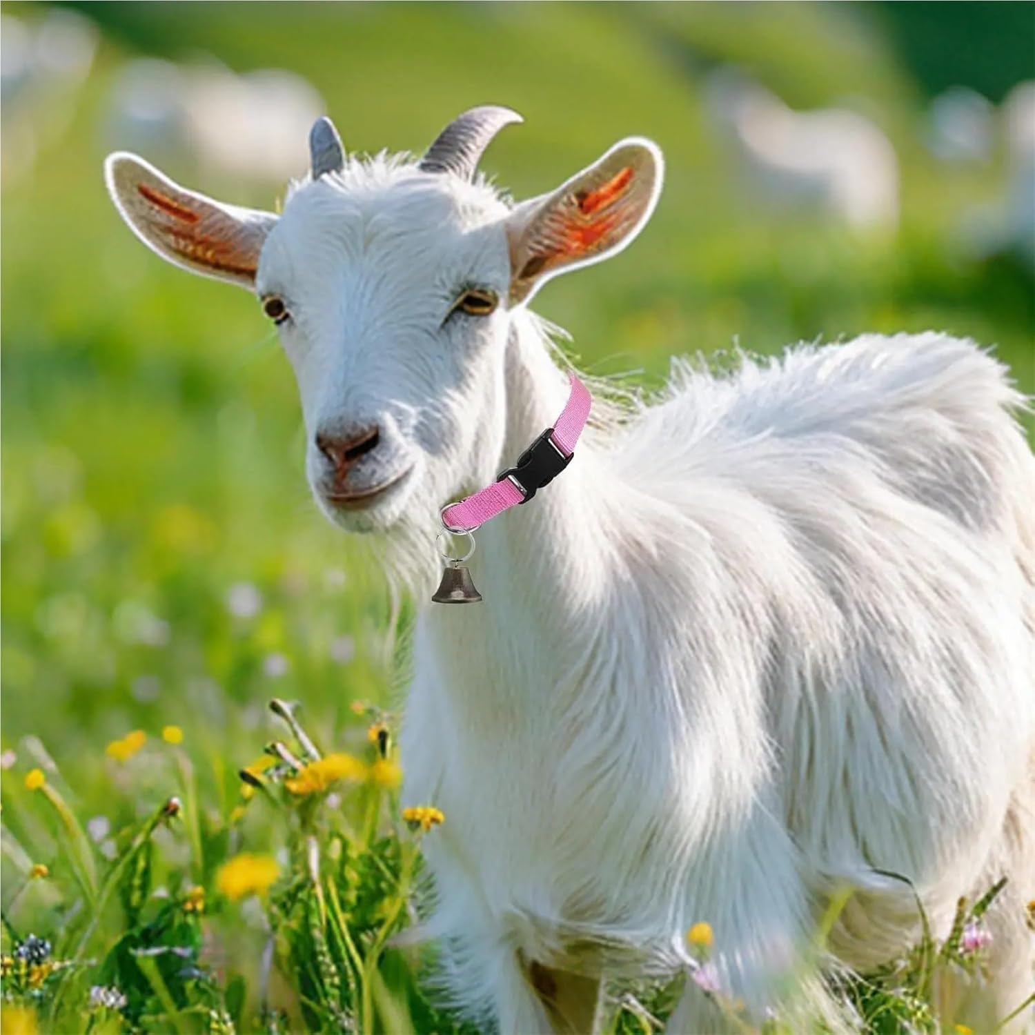 Goat Collar 6pcs Goat Collar Horse Sheep Grazing Bell Clear Sound Quick-Release Buckle Pet Accessories for Small Animal Cow for Small Farm Animal Sheep Cow(Brown)