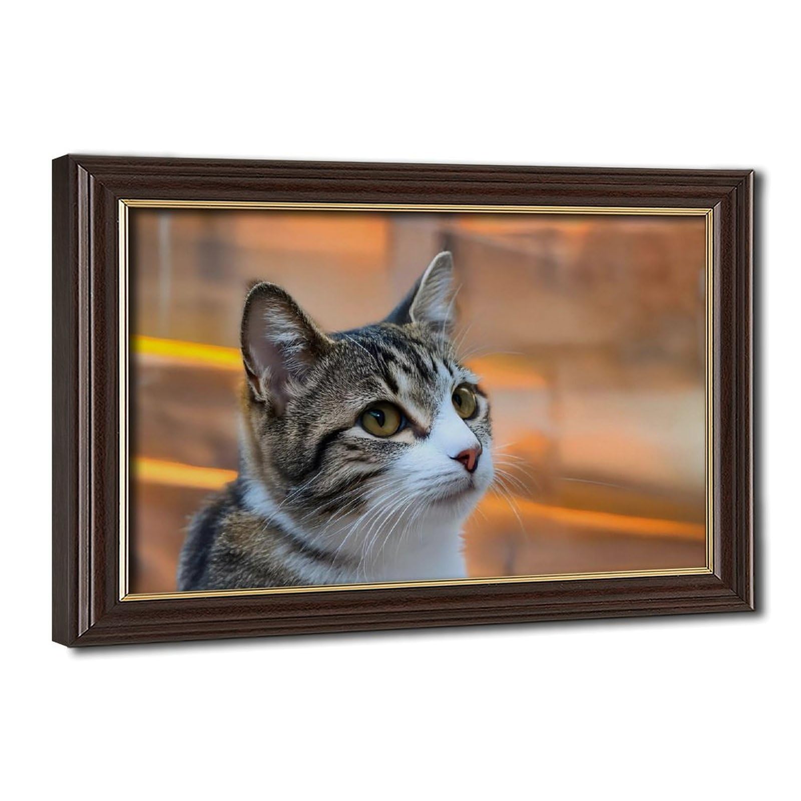 Pyberon Mokume Gane Frame-Style Tabby Cat Eyes Canvas Poster For Office Decor Gift