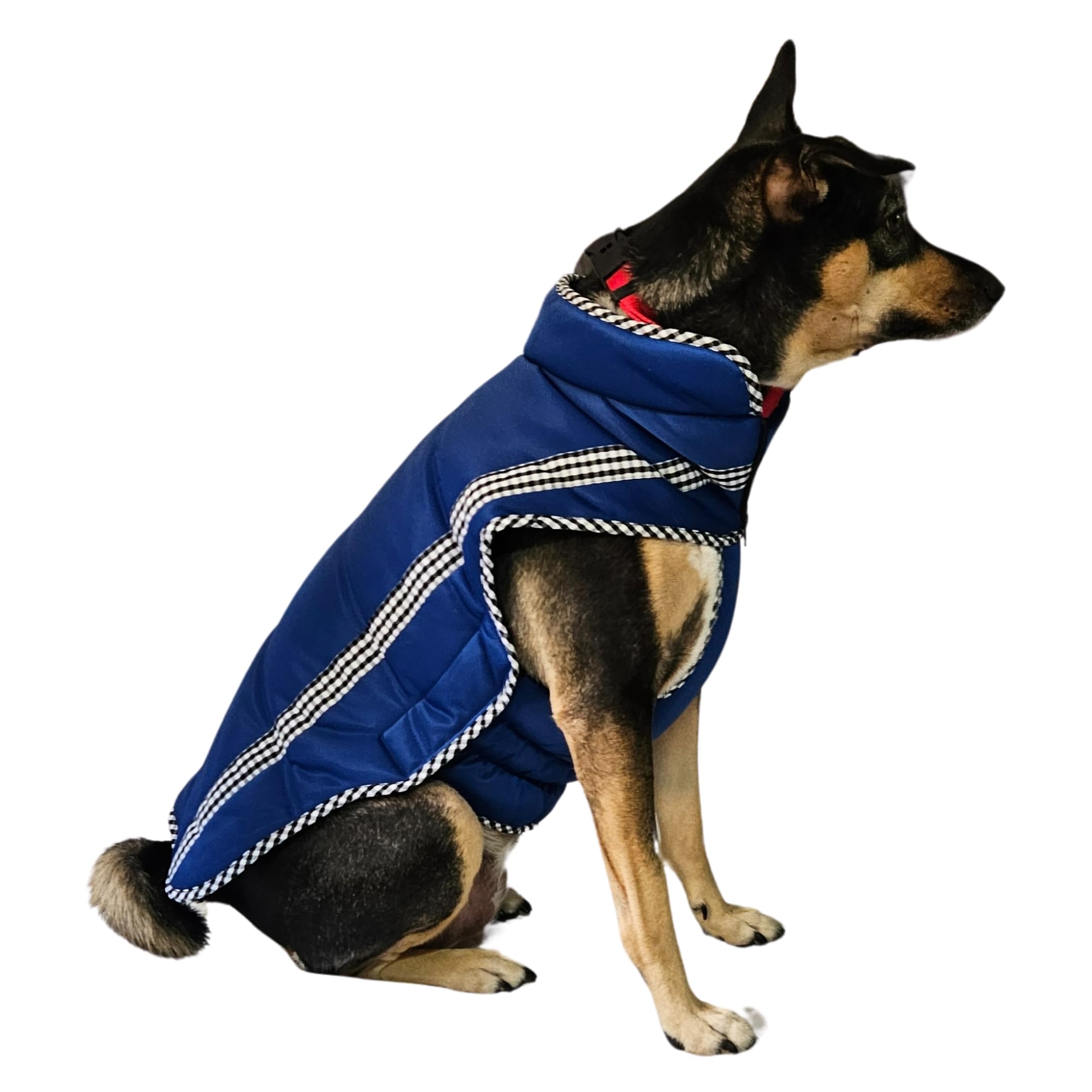 All For Fur Dog Winter Jacket/Coat | Extra Warm Padding for Cold Weather | Windproof | Adjustable Neck & Chest | Luxury Pet Accessories | Winter Clothes for XL Dogs | Electric Blue