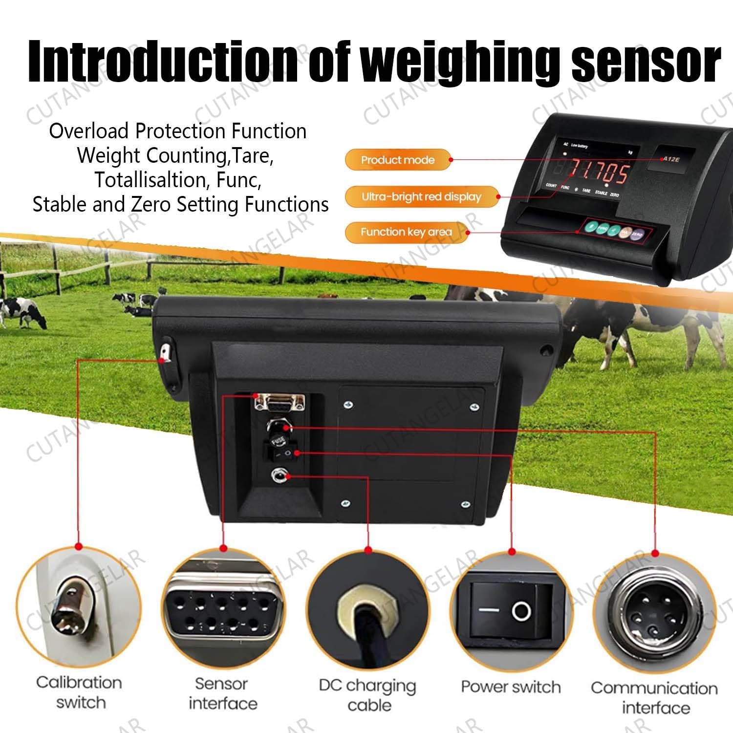 Viehwaage, Rinderwaage, Schweinewaage, 5000 kg/11023 lbs maximale Tragkraft, Hochpräzises Viehwaagen-Set, Bodenwaage, mit hellem LED-Display, Tierwaagen-Set für Tiere/Kühe/Schweine