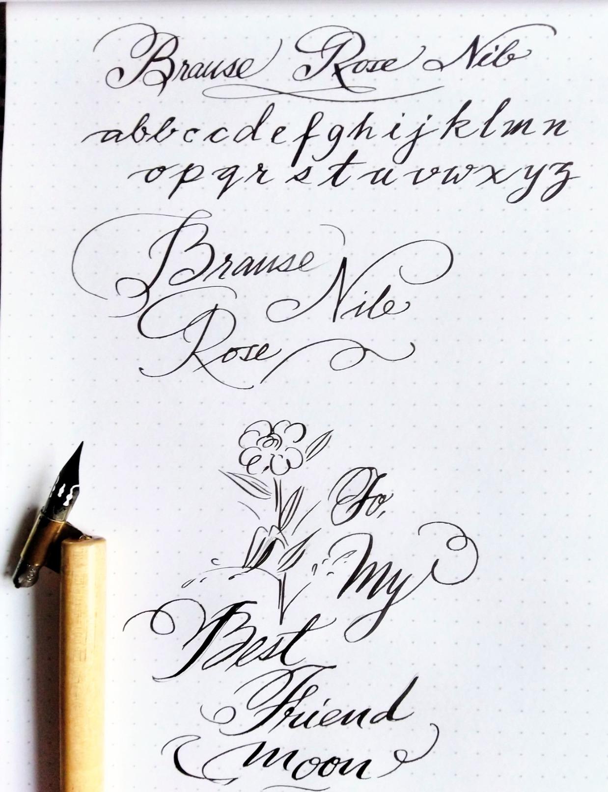 Writing Ropse Brause Writing Rose Nib (Pack of 3) 300076B : Amazon.in: Office Products