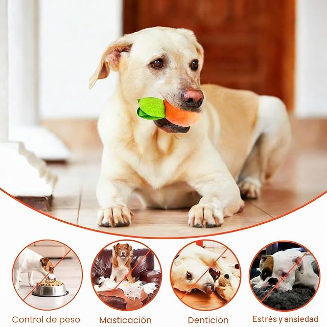 Foto 6 de 7 de LIULINY Juego Olfateo para Perro Alfombra Olfativa para Perros 9 Zanahorias