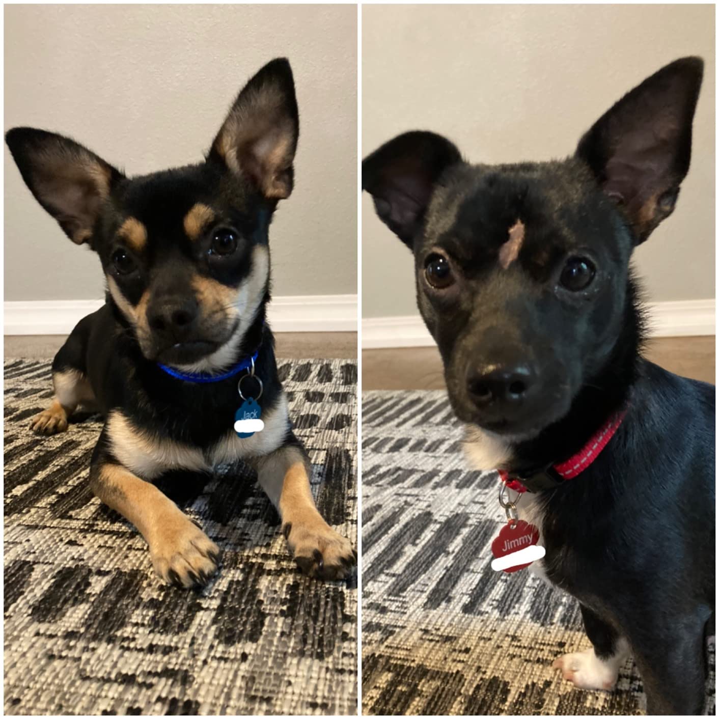 Nominihu casino képernyőkép slots játékkal