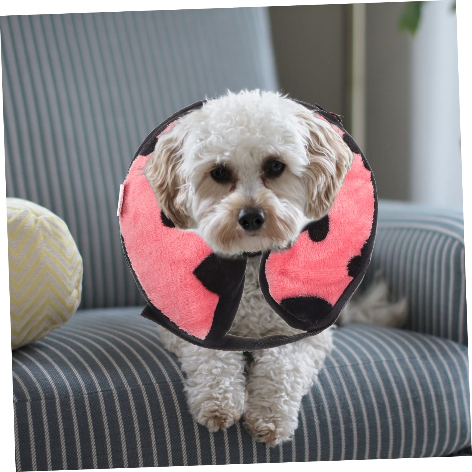 Didiseaon 4 Uds Collar Elizabeth Collar De Perro De Recuperación Collar Inflable para Mascotas Cono De Donut para Perros Después De La Cirugía Conos De Gato para Perros Después De La