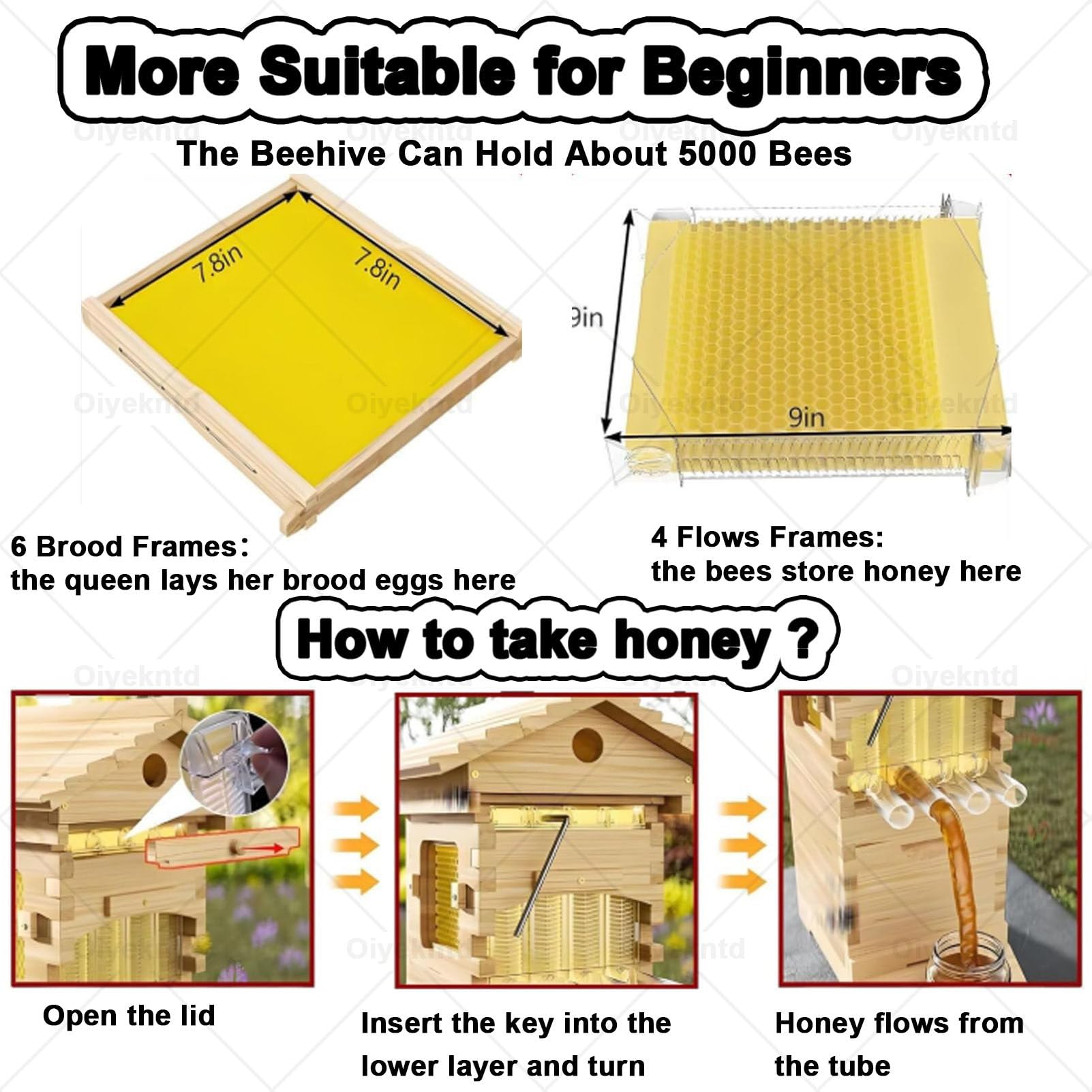 Kit de inicio automático de apicultura con ventana de observación y boquilla de miel, juego completo de colmena de madera para un manejo fácil y autofloreciente, ideal para principiantes
