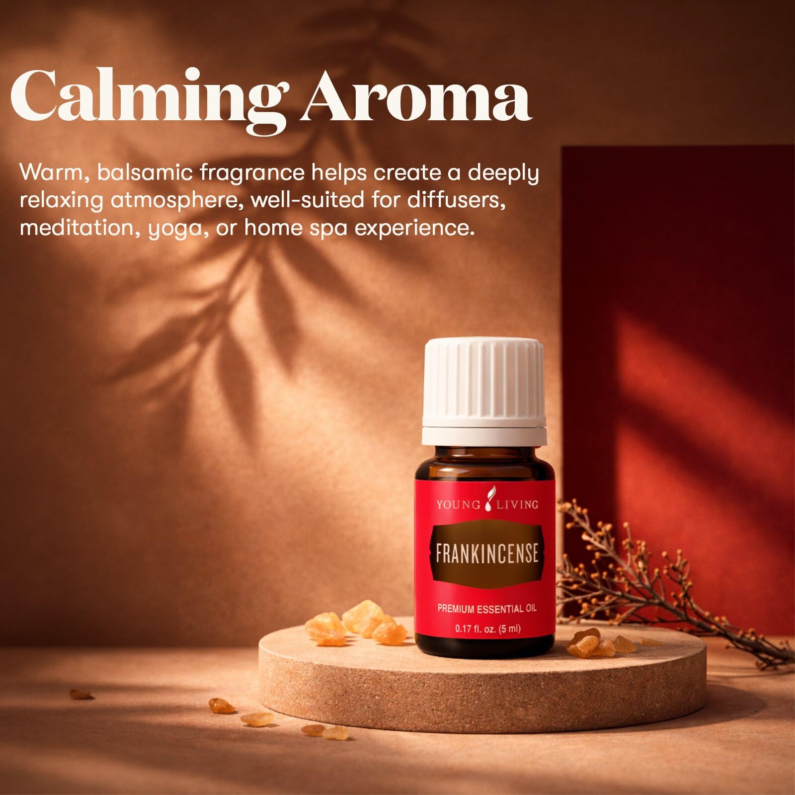 Amazon.com: Young Living Frankincense Essential Oil | 5 ml | Seed