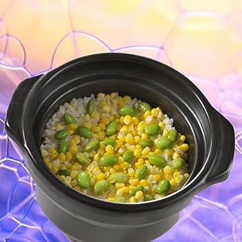 ロイヤルクイーン　希少　ガス専用　１コート蓋付き フタがガラスのご飯釜｜調理器具・卓上関連｜耐熱ガラスのHARIO