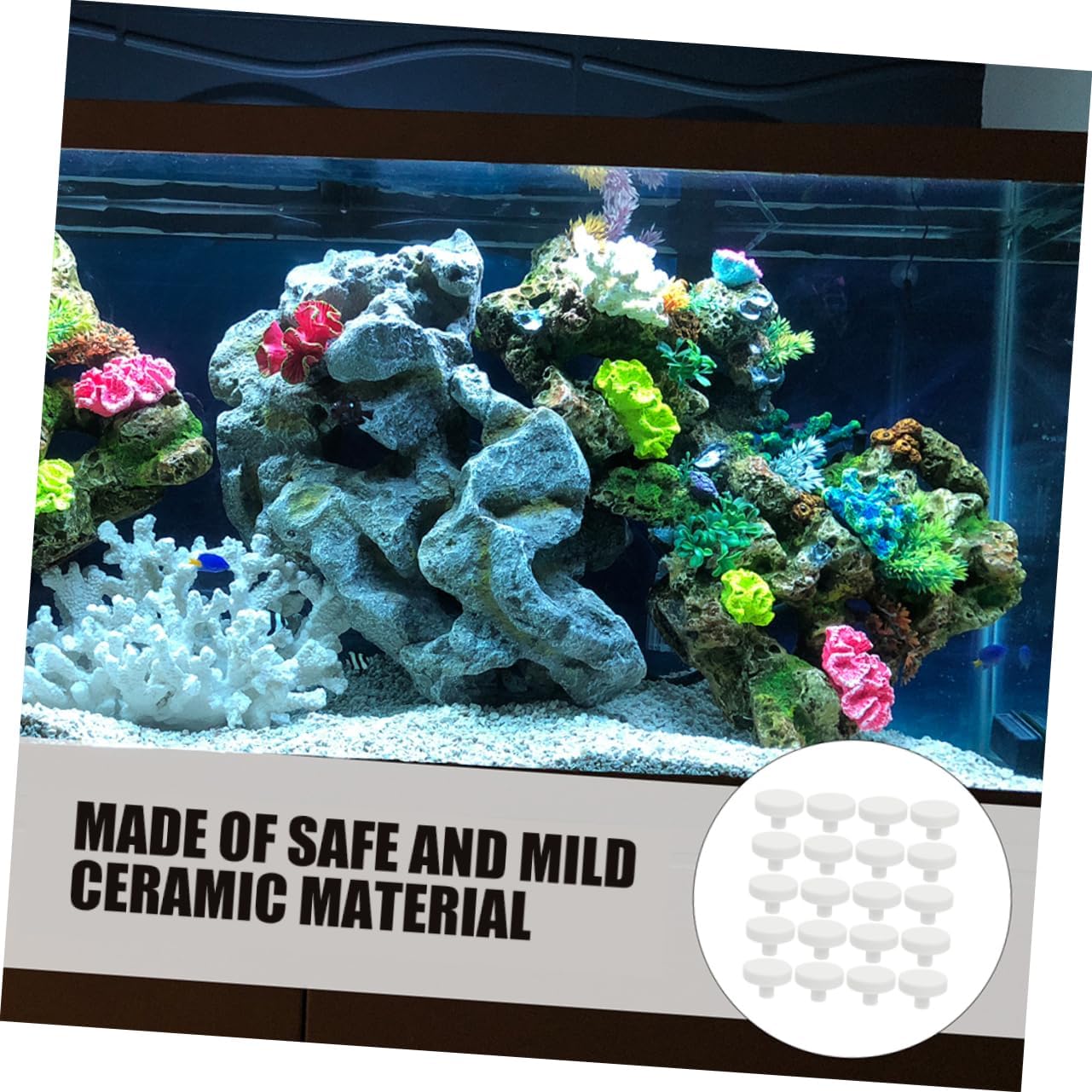 BESPORTBLE 90pcs Coral Plate Base for Aquarium Coral Disks for Fish Tank Safe Smooth Racks Versatile Base for All Aquarist Levels