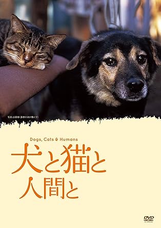 Amazon 犬と猫と人間と Dvd 映画