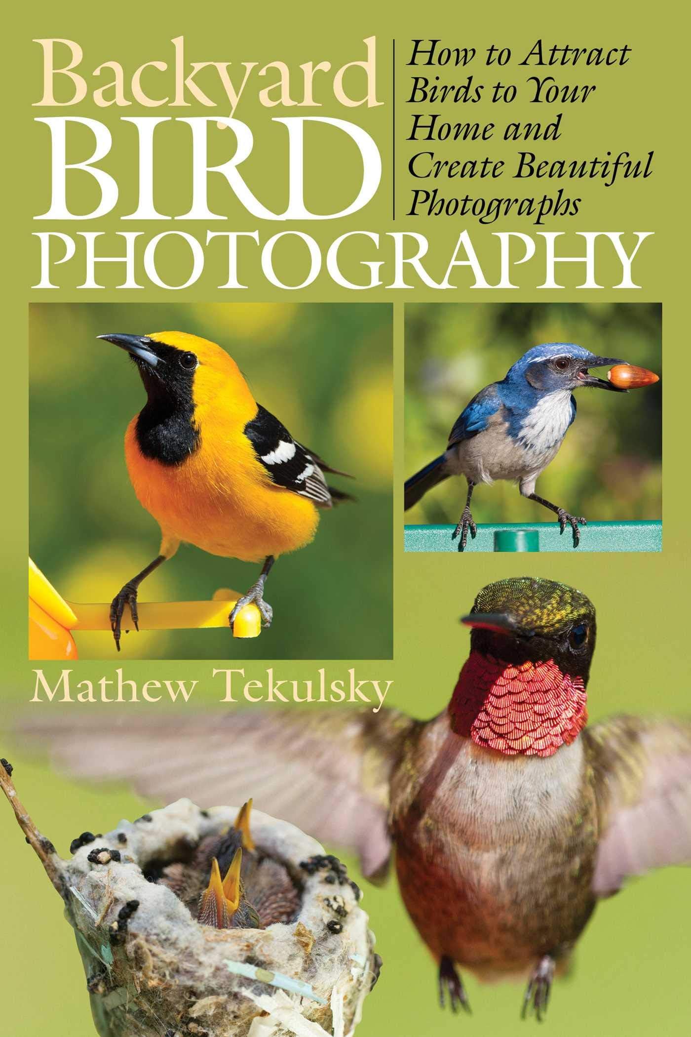 - Backyard Bird Photography: How to Attract Birds to Your Home and Create Beautiful Photographs