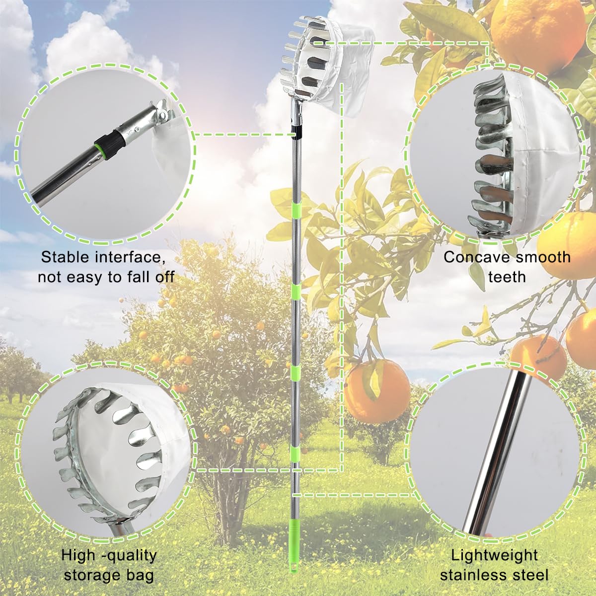 Raccoglifrutta Regolabile In Altezza Fino A 2m - Con Testa A Cestello E Sacchetto In Tessuto