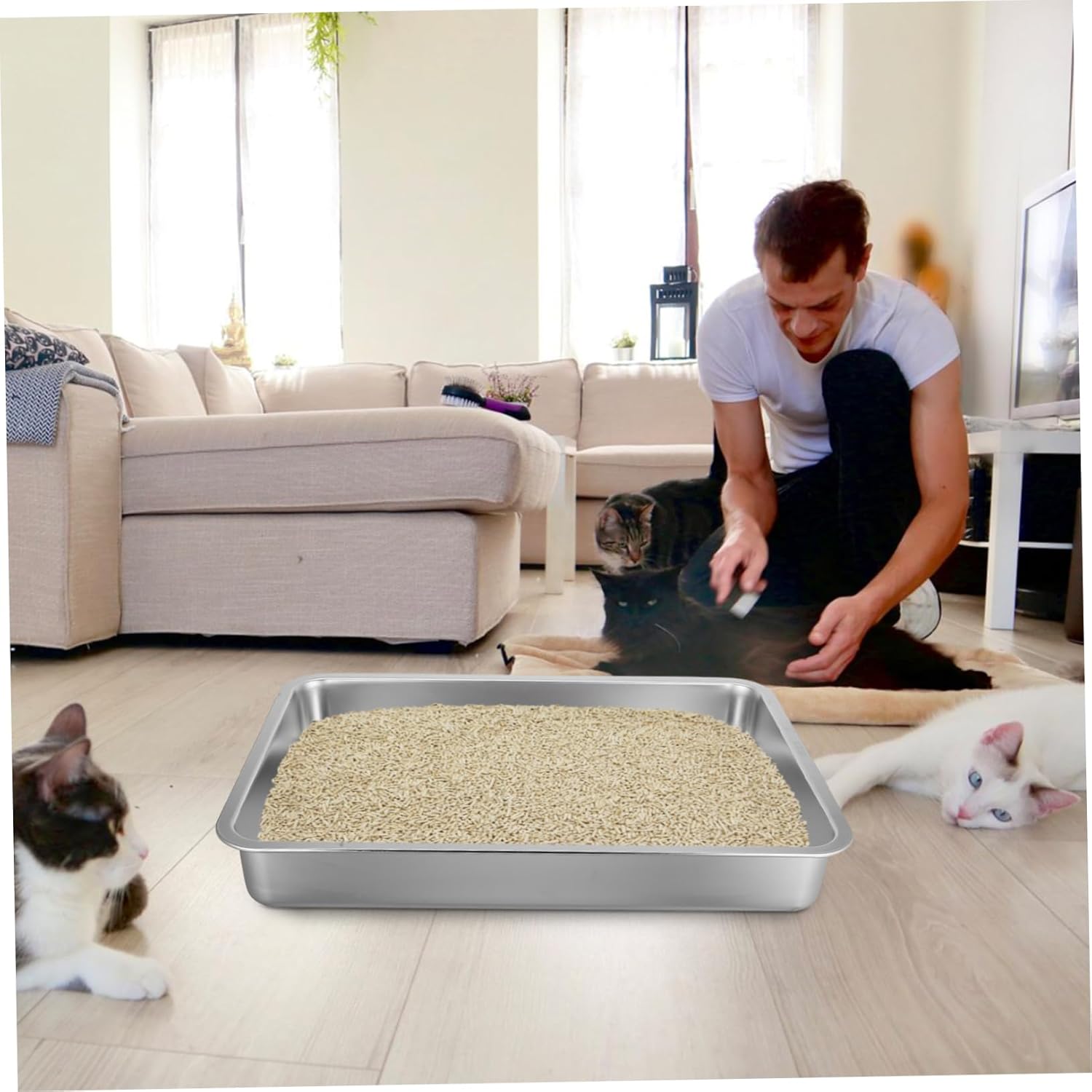DECHOUS Litter Box Durable Stainless Steel Design for Kittens and Adult Cats Low Edge for Easy Access for Home Office and Pet Stores
