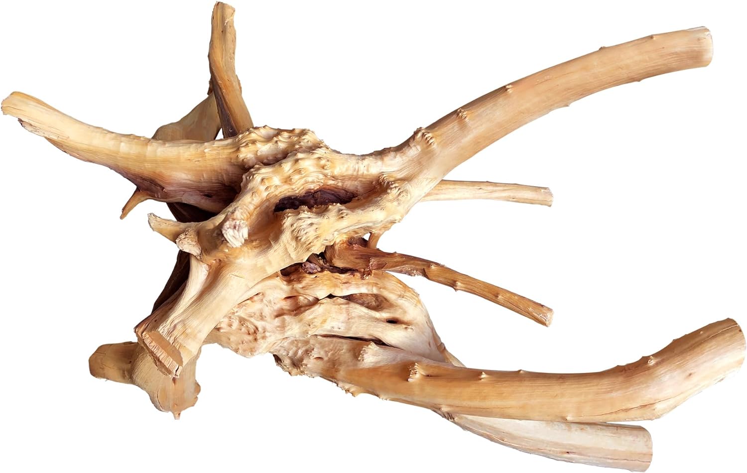 majoywoo Natural Large Driftwood for Aquarium Decor Reptile Decor, Assorted Spider Wood Branch 13-17 Long, Fish Tank Decoration