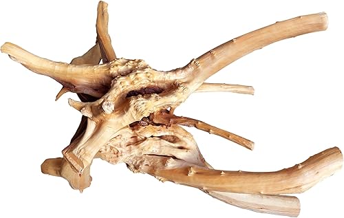 Vista 35 de majoywoo Madera flotante de coral natural para decoración de acuario, decoración de peceras, ramas de madera flotante surtidas de 6 a 10 pulgadas, 3