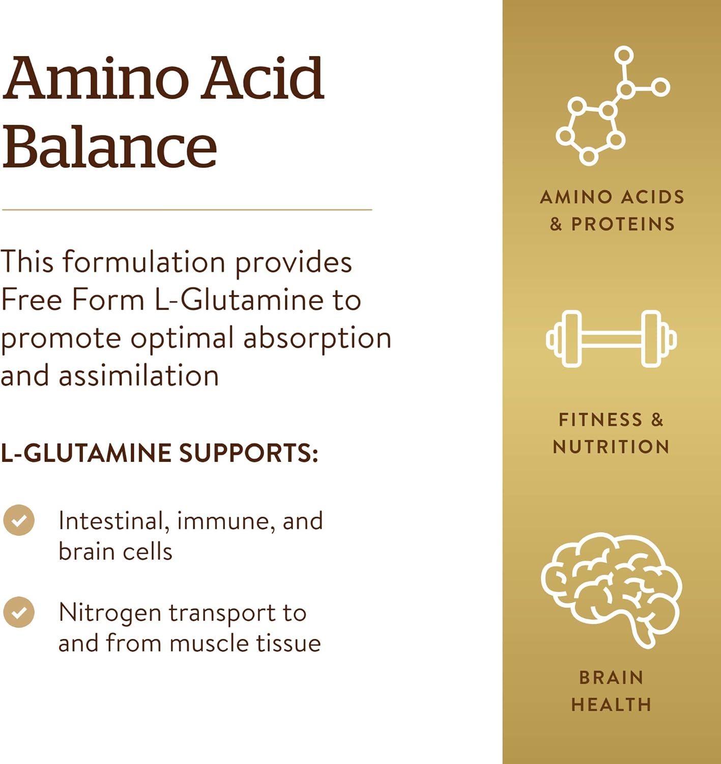 Solgar L-Glutamine 500 mg, 250 Vegetable Capsules - Natural Muscle Food - Promotes Gastrointestinal (GI) Health - Supports Brain Health - Non-GMO, Vegan, Gluten Free, Dairy Free : Health & Household