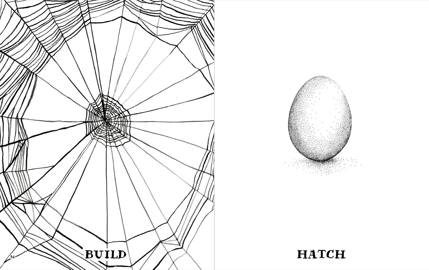 The Wild Unknown Journal: A Creative and Transformative Guided Journal for Writers and Artists―Unleash Your Creative Magic with Powerful Prompts and Imagery - Image 6