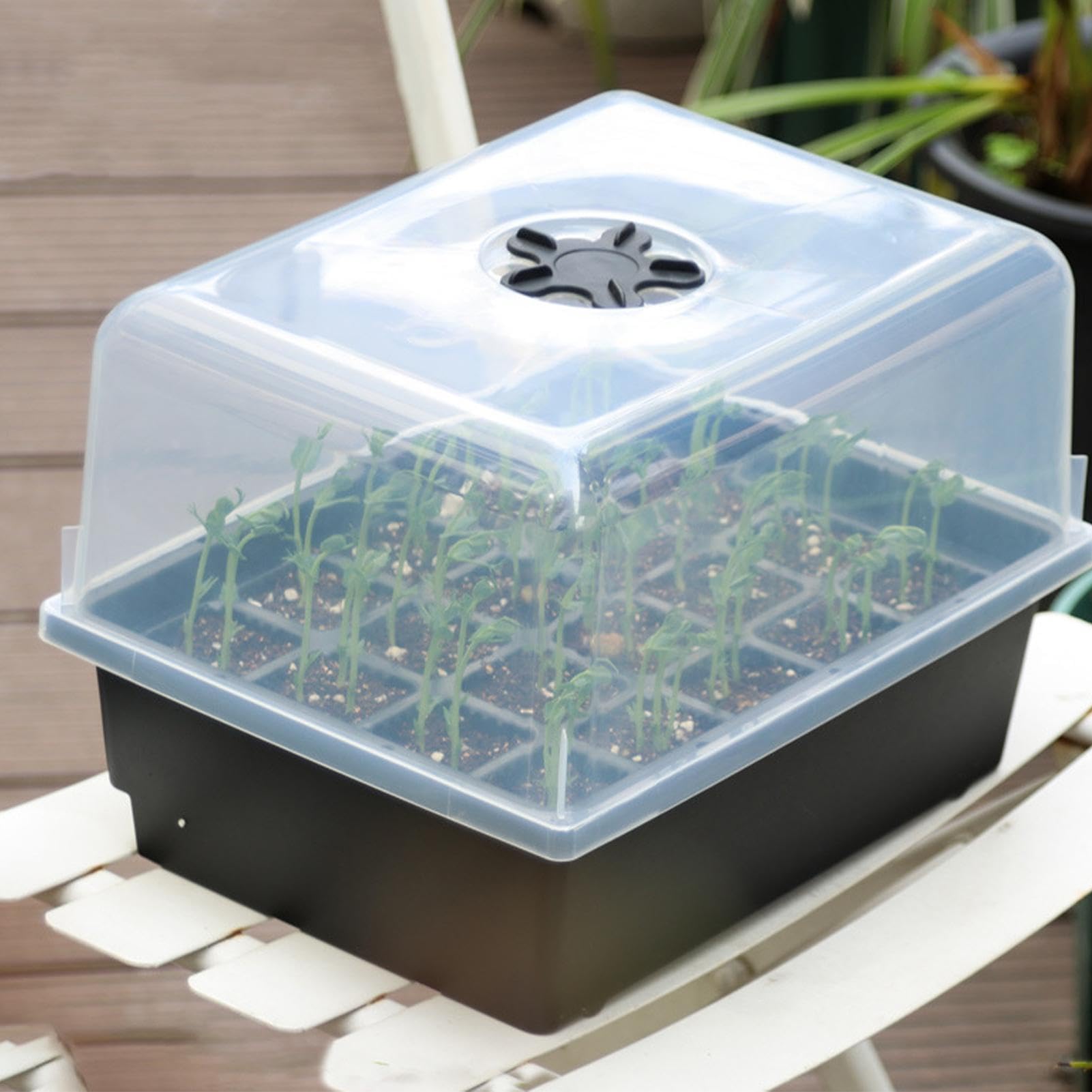Kit de germination de – Kit de propagation de serre, pot de culture robuste, démarreur de germination ventilé économe en énergie pour serre biologique