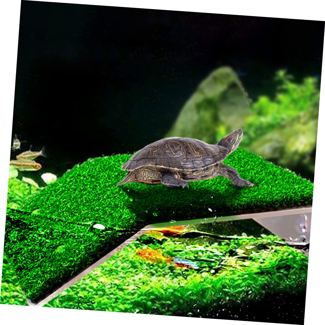 ibasenice Plataforma para Tortugas y Reptiles Césped Simulado, Rampa De Plástico Multifuncional, Tamaño Grande y Pequeño, para Acuario y Terrario, Apta para Tortugas De Agua y Pequeños Reptiles