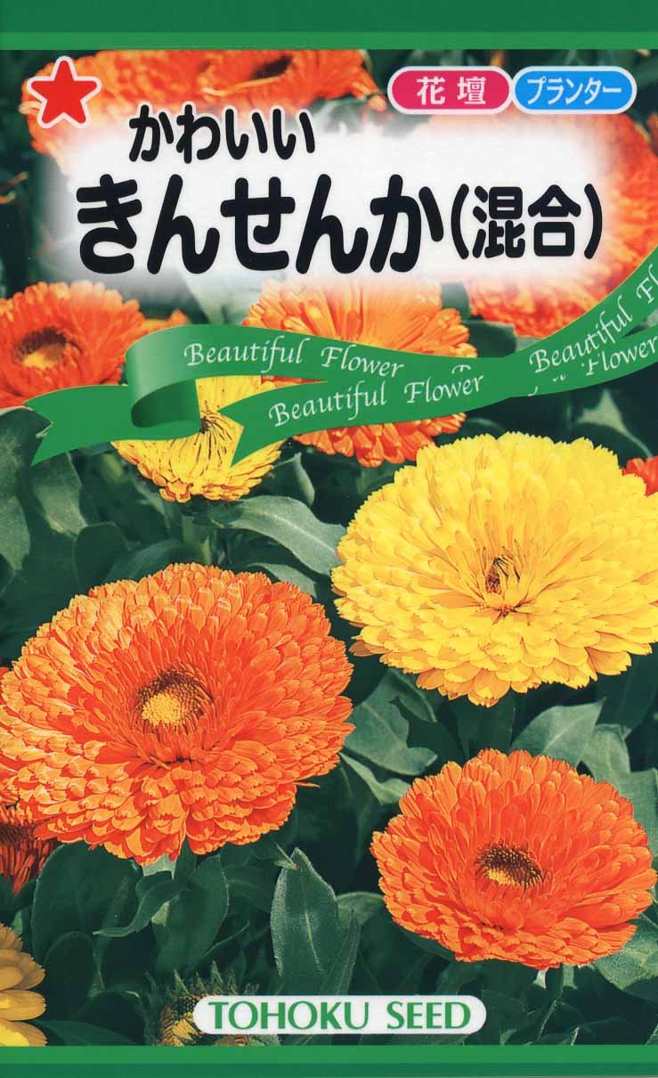 Amazon | 株式会社トーホク かわいいきんせんか(混合) 04261 | 野菜
