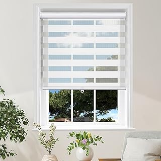 MiLin Cordless Zebra Shades Blinds for Windows Dual Layer Roller Sheer Shades Light Filtering Privacy for Day and Night Window Shades for Home and Office (Snow White 20" W x 64" H)