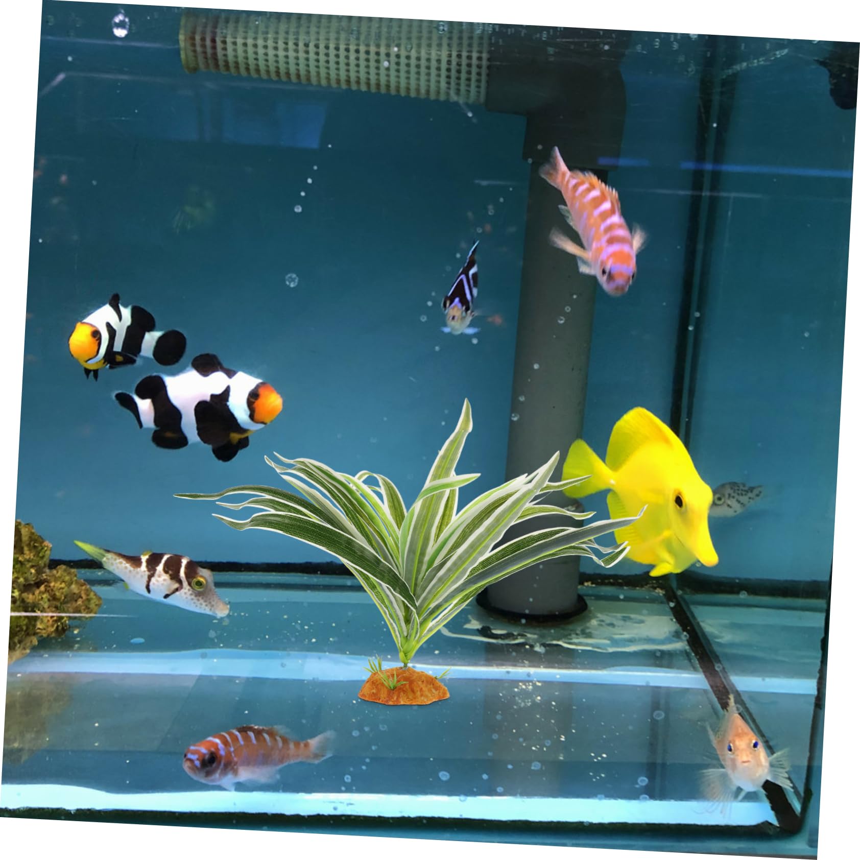 5stücke Reptile Terrarium Kunstpflanze Für Reptilienhabitat Echte Dekoration Für Eidechsen Bartagamen Frösche Und Andere Haustiere Für Aquarien Und Terrarien
