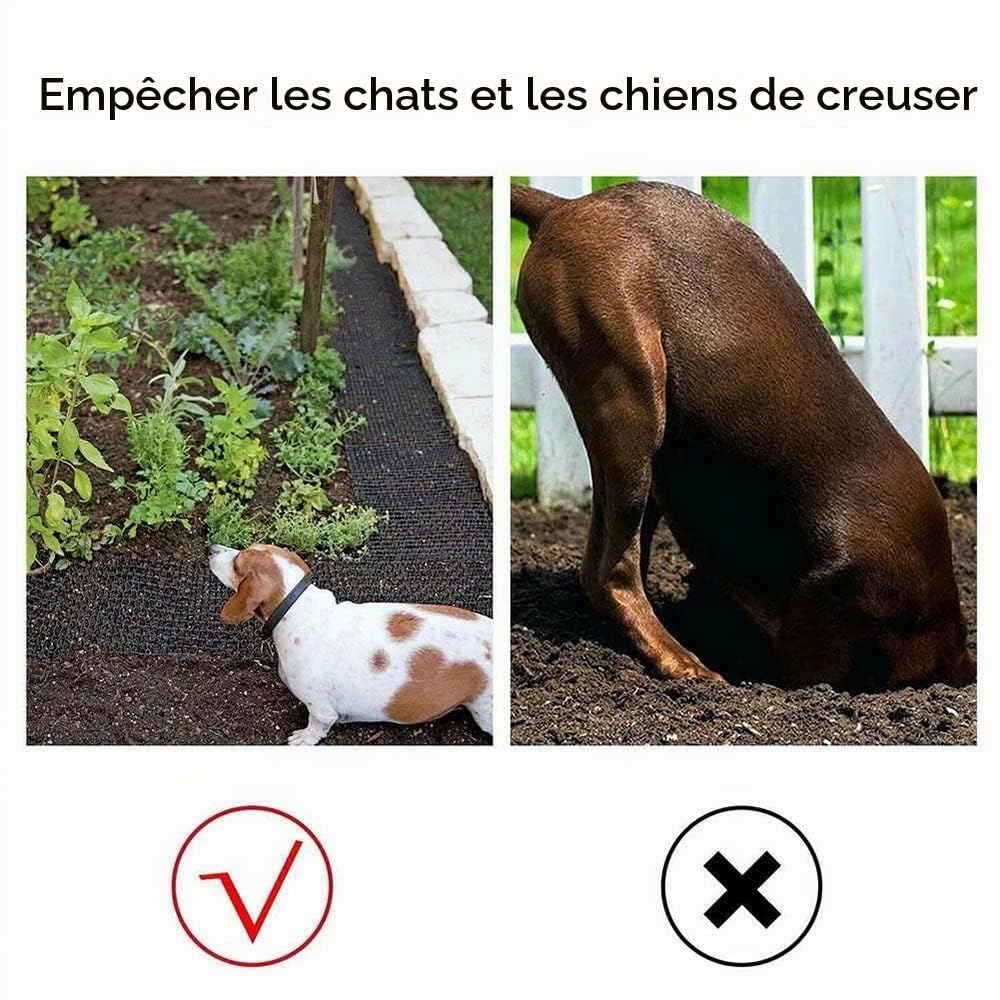 NEWFUN 2 pièces Tapis Anti-Chat avec Pointes,200*30cm Tapis de Dissuasion répulsif pour Chat Chien Animal,Avec 16 Ancrages au sol en Forme de U,Répulsif Chats Chiens Naturel & Écologique pour Jardin