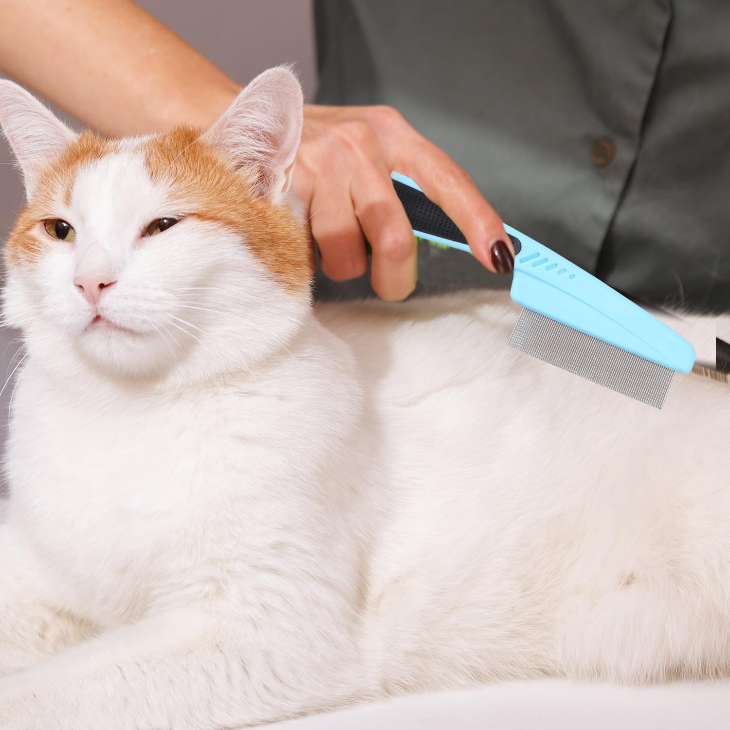 2 peines para perros y gatos, de dientes finos, para eliminar la caspa, las manchas de pelo, para mascotas pequeñas, medianas y grandes, para eliminar la corteza y la mucosidad
