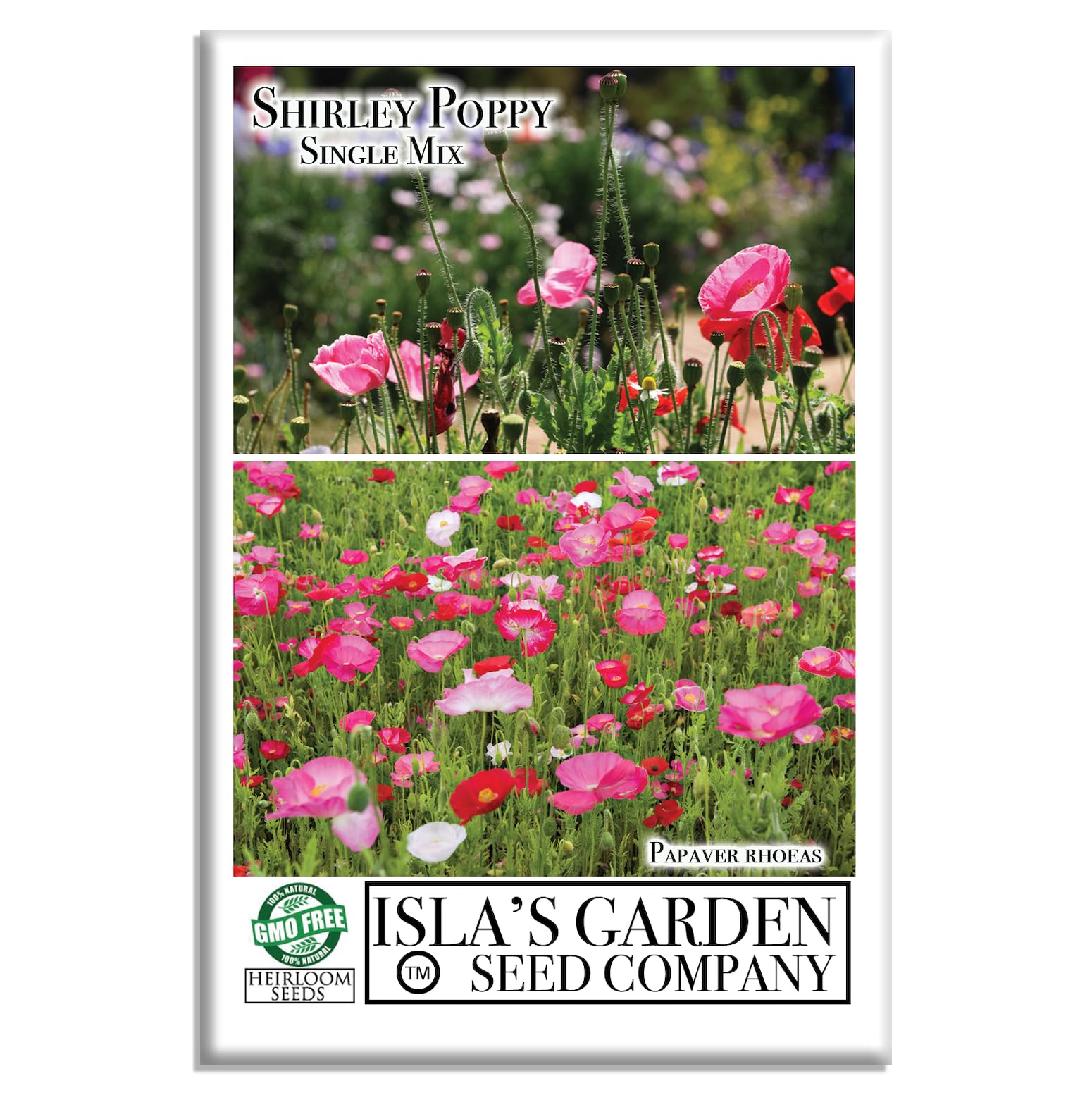 Amazon.com : Shirley Single Mix Poppy Seeds (Papaver rhoeas