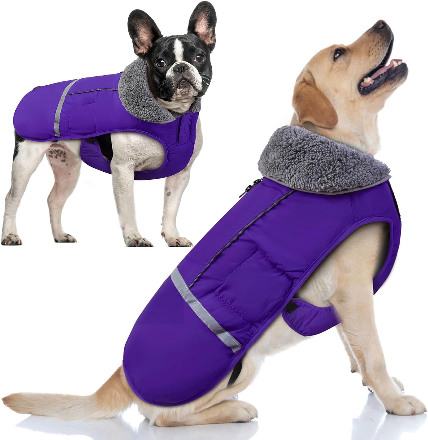 Doglay Waterproof Dog Coat with Furry Collar