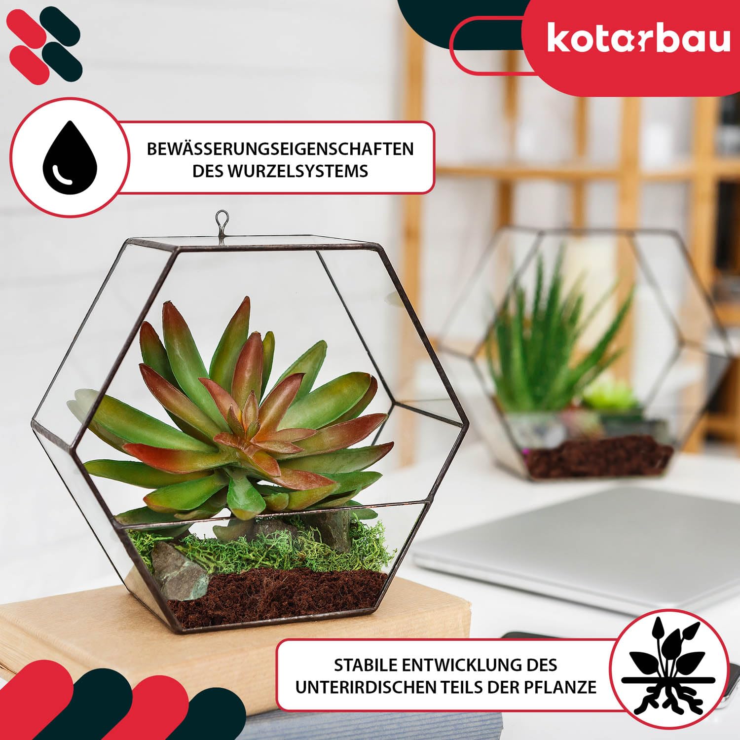 KOTARBAU® Natürlich & Torffrei Kokoserde Kokoseinstreu 24 X 650 g - 168 L Blumenerde aus Kokosfaser