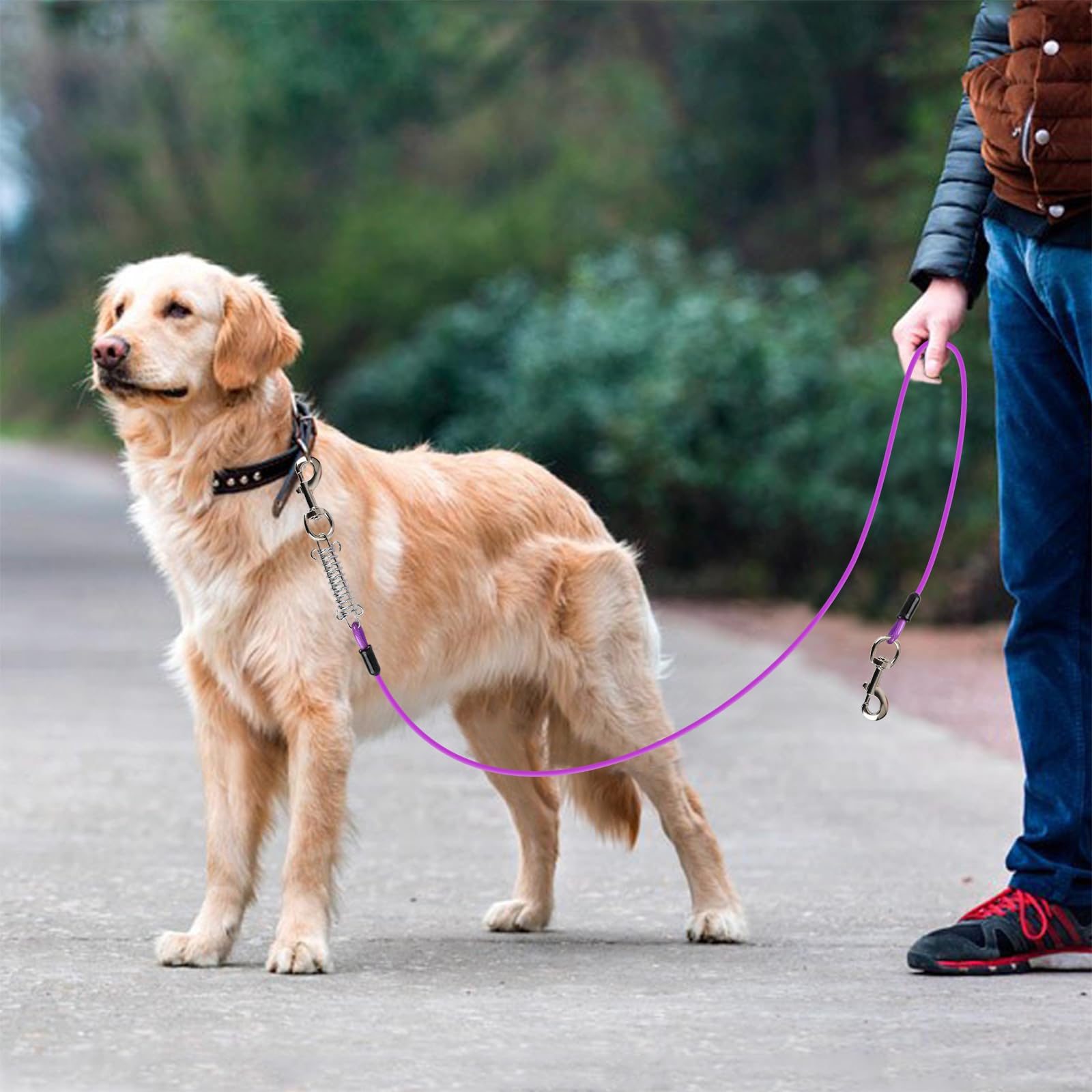 Cavo di Sicurezza per Cani, 3m Resistente Guinzaglio in Metallo per Animali Domestici, Lungo Cavo per Cani di Media e Grande, Guinzaglio per Cane per Cortile Campeggio