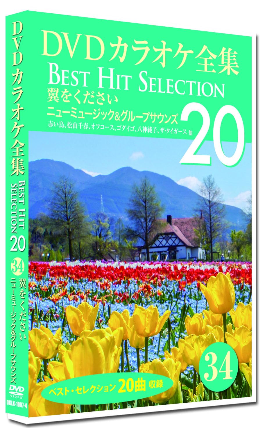 DVDカラオケ全集 「Best Hit Selection 20」34 翼をください