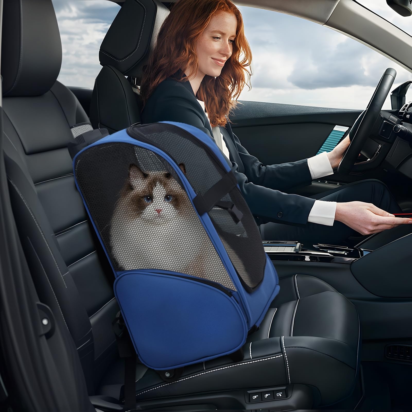 Mochila con ruedas para mascotas, mochila de viaje para mascotas con ruedas dobles y asa telescópica, transportador de mascotas con ruedas, transportador de viaje para mascotas para gatos
