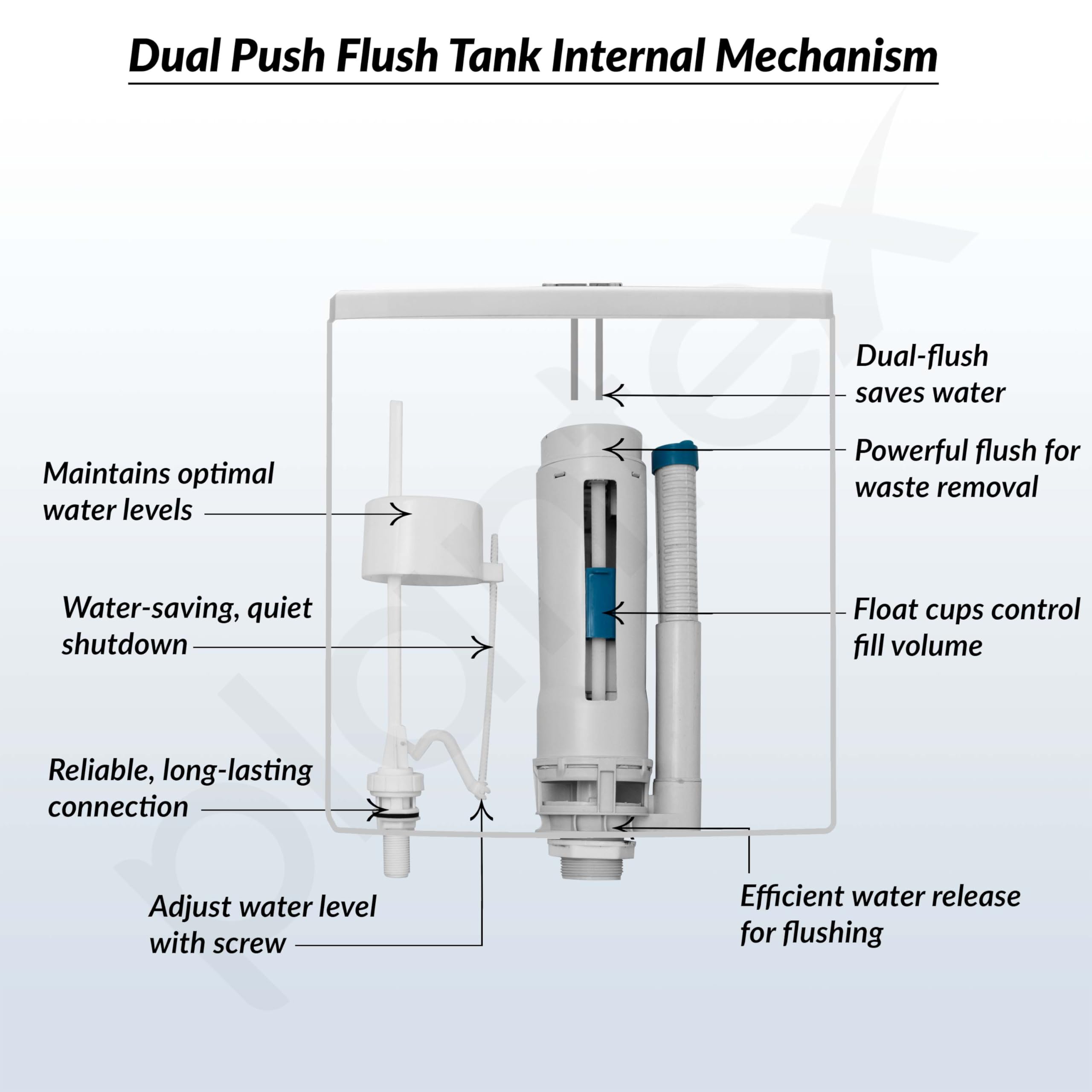 Plantex Flush Tank for Toilet with 10 Ltr Water Capacity/Dual Flushing Cistern for Bathroom/Polypropylene Toilet Flush Tank - Pack of 1 (Classic, White) 2