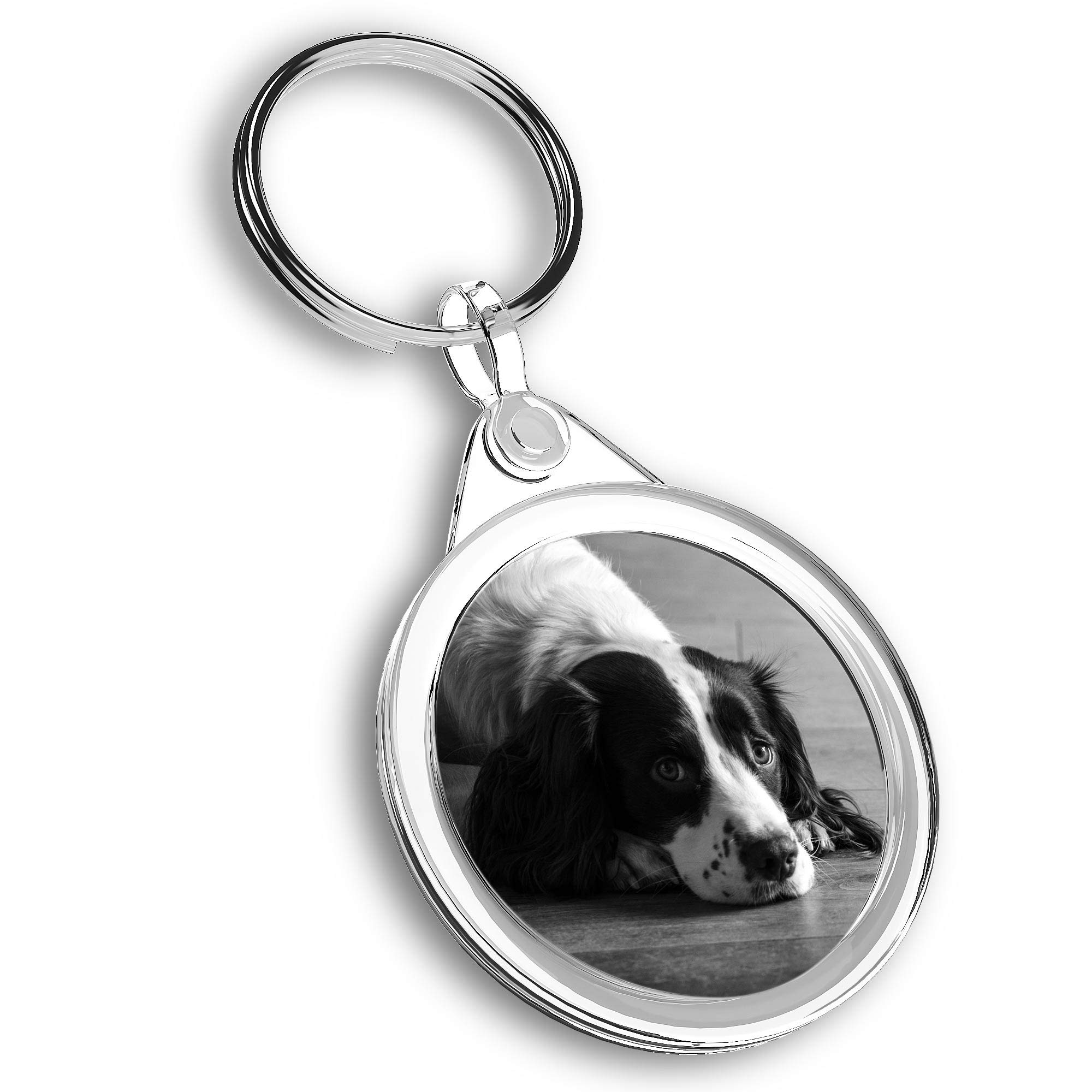 Destination Vinyl Ltd 1 x Photo Keyring - Springer Spaniel Dog Puppy Animals |Keychain|Keyring|Charm| #41405