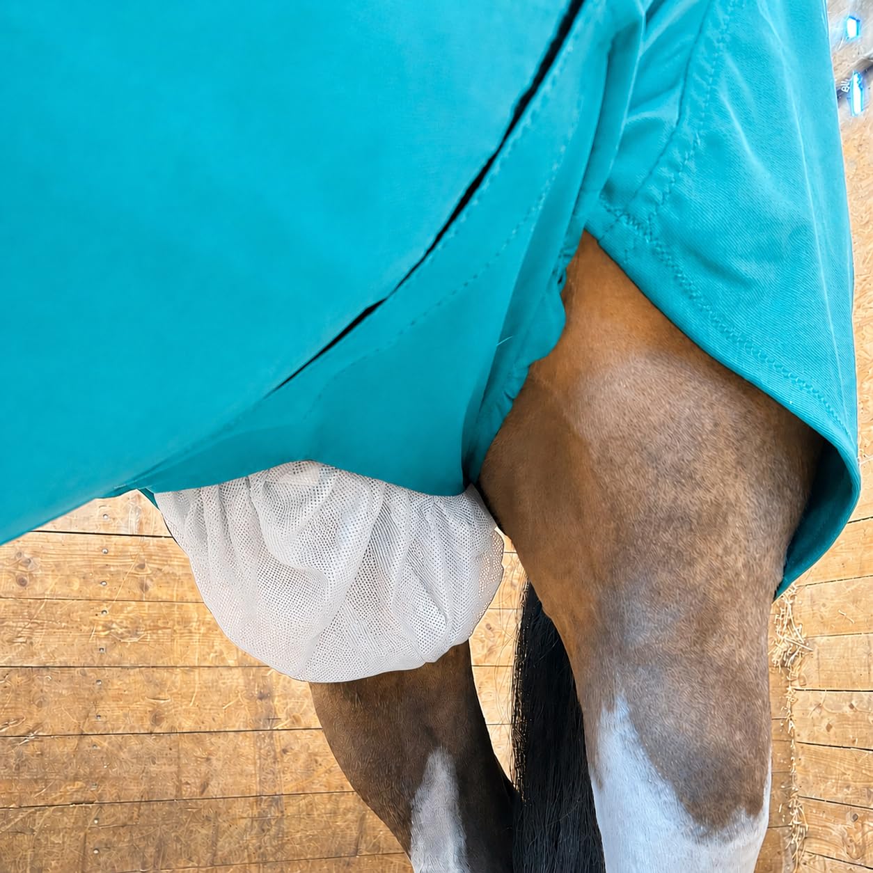 Snuggy Hoods Sheath Cover for Horses | Reliable Protection from Sweet Itch, Insects and UV Rays | Premium Quality | 3 Colours, 5 Sizes