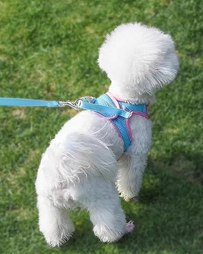 Miniatura 3 de Solmoony Arnés para perro para perros pequeños y medianos, fácil de poner, arnés de malla suave y juego de correa para gatitos y cachorros, arnés