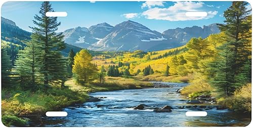 Miniatura 25 de Árbol de la vida - Placa de matrícula colorida abstracta divertida de aluminio para placas delanteras decorativas, impermeables, sin óxido, A: