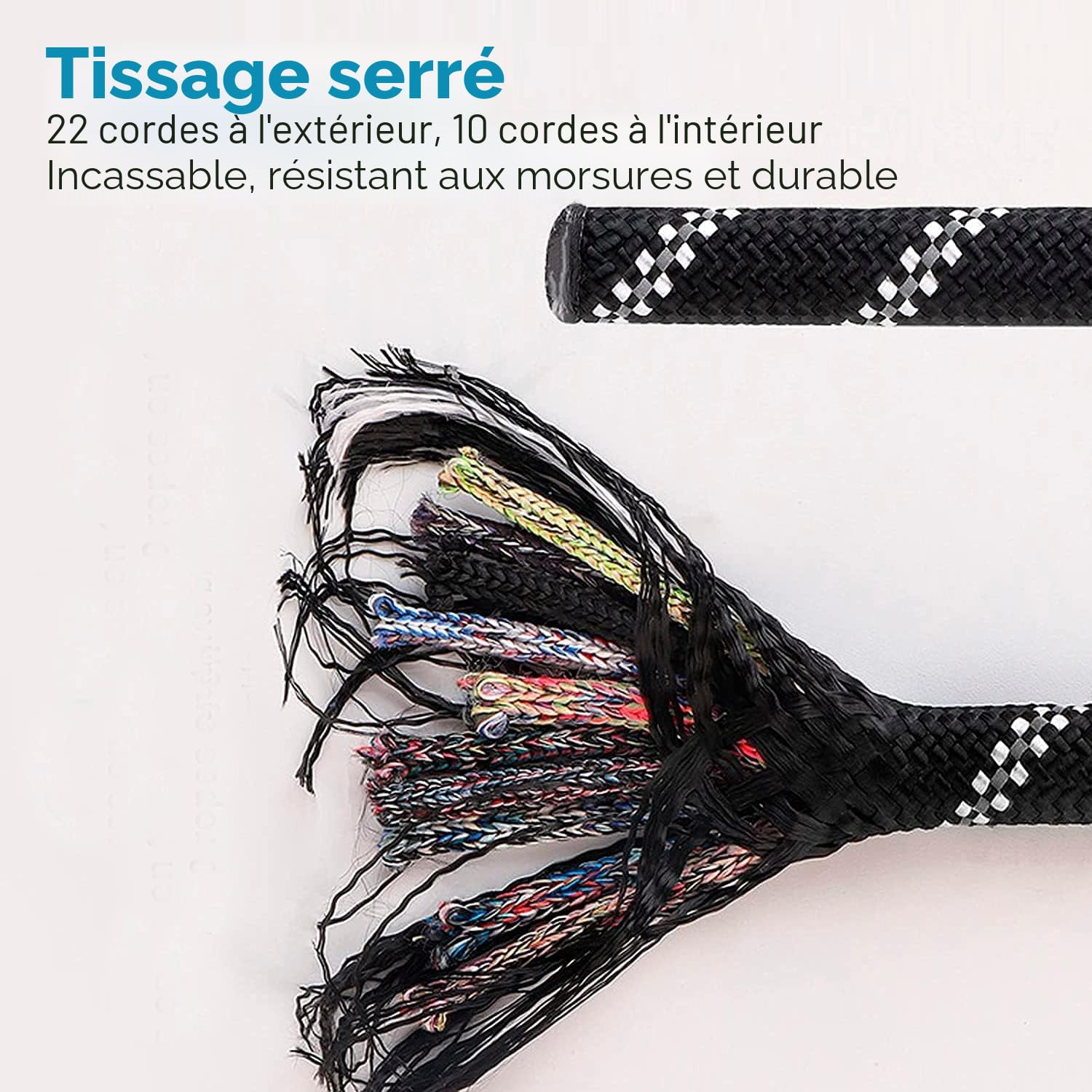 EDIPETS, Laisse Chien, Laisse de Dressage pour Chien, Rembourrée, Poignée Souple, Corde pour Chiots et Petits, Moyens et Grands Chiens, 1,2 et 1,5 mètres. (1.5 M, Noir)