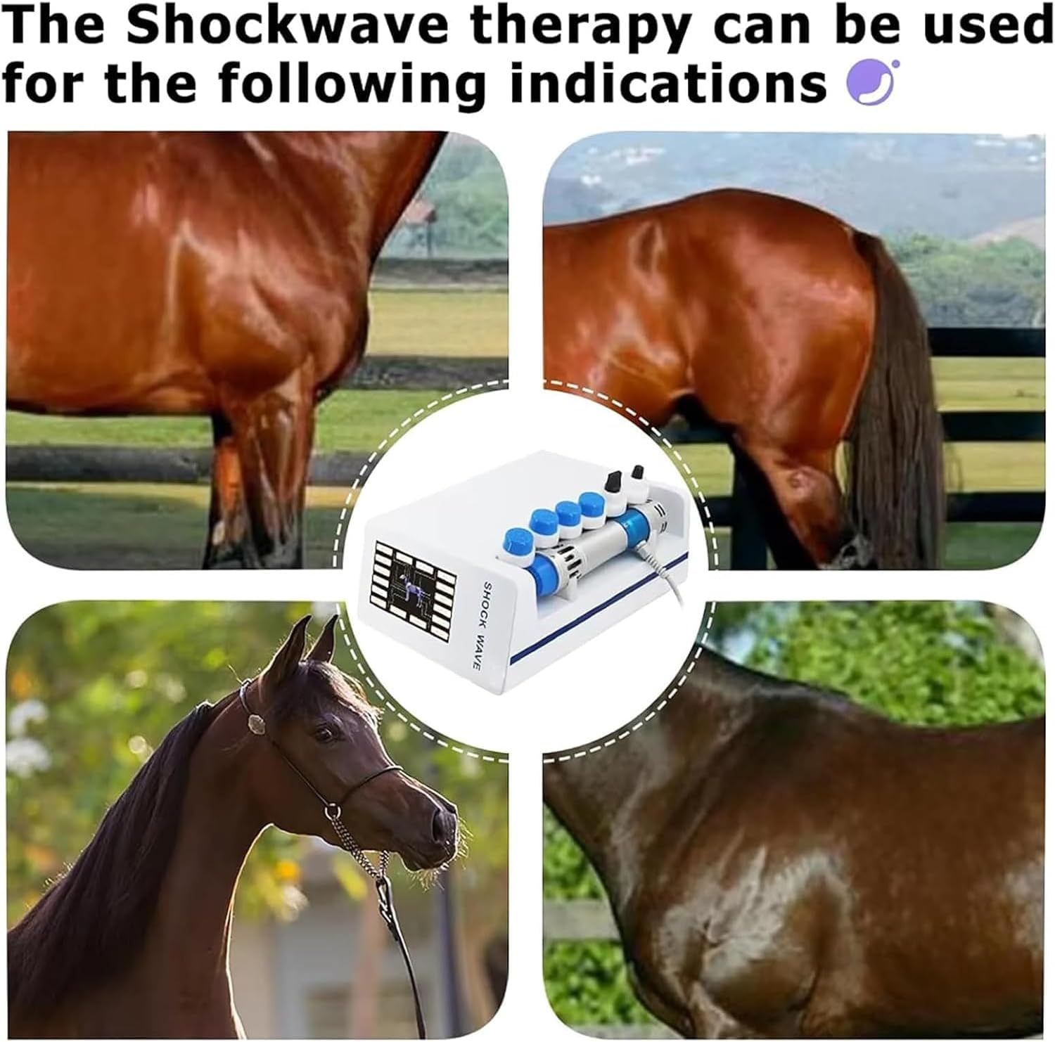 Extracorporal Shockwave Therapy Machine for Horse, Animal Shock Wave Massager with 7 Massage Heads, 10-300MJ Energy & 1-18Hz Frequency Adjustable, for Joint Muscle Pain Relief