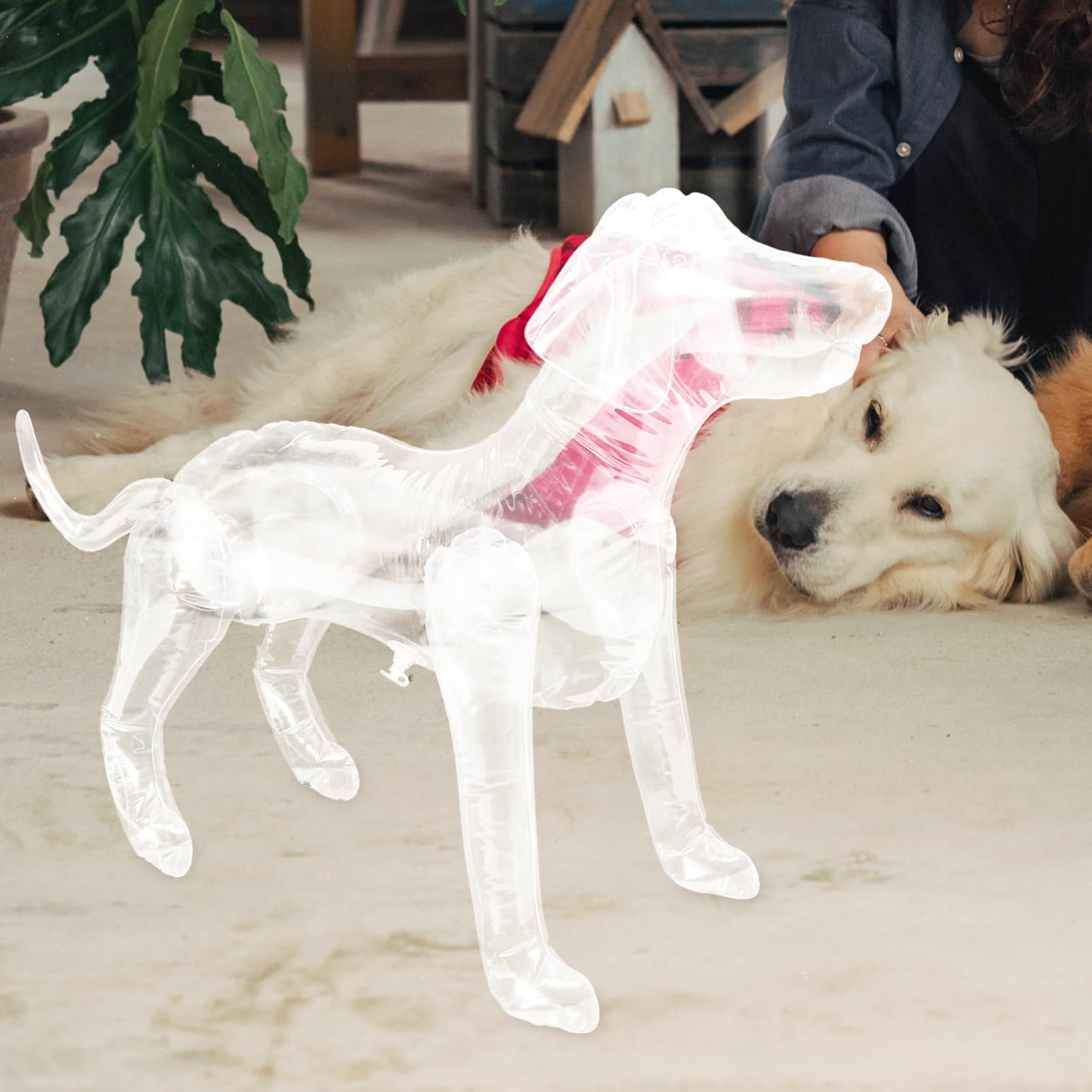 楽天市場】ディスプレイ（犬用品｜ペット・ペットグッズ）の通販 TOGEVAL 5個 ペット服モデル 衣類ペットショップ マネキン 衣装 装飾用のインフレータブル犬 展示用犬立ちモデル モデルのペ