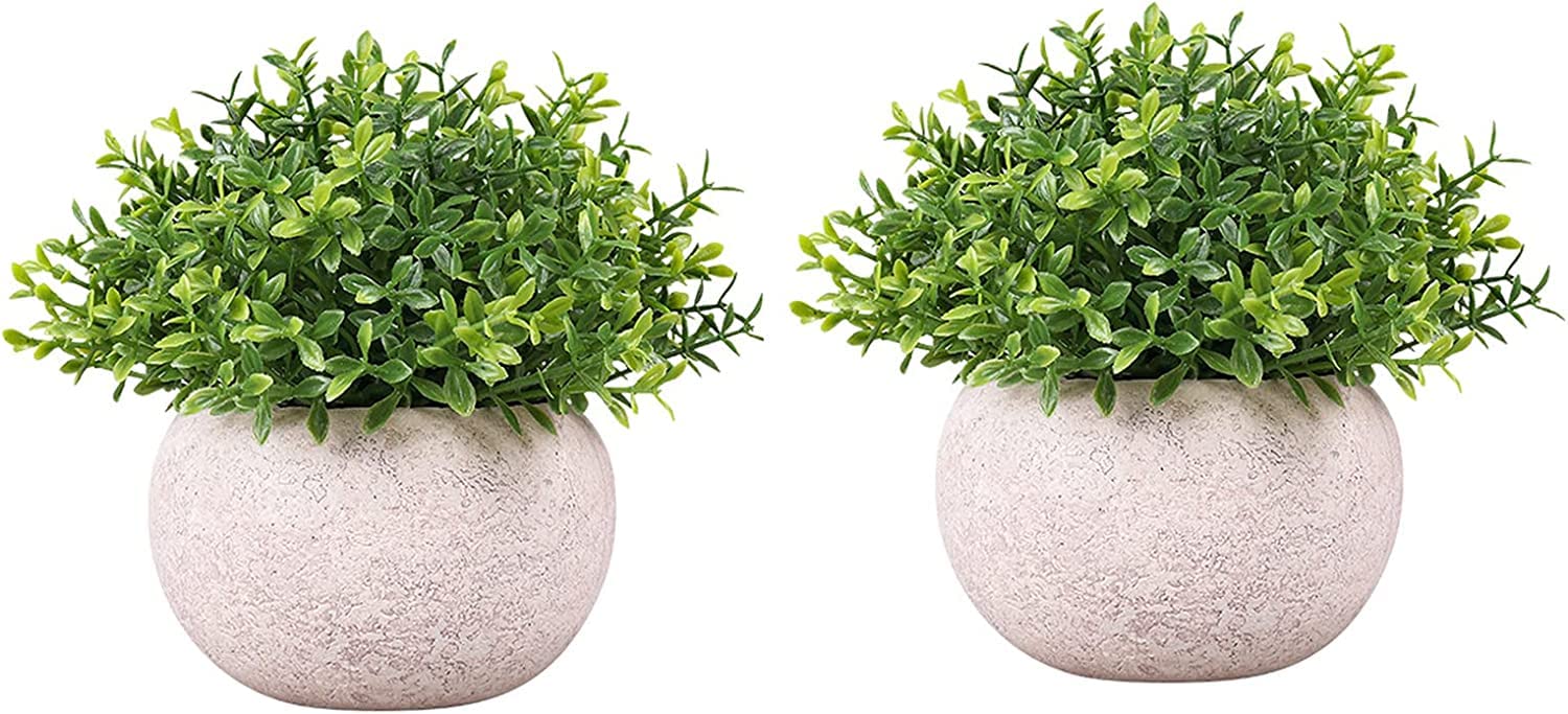 Dekorly Artificial Plants Small Mini Artificial Plants Artificial Grass Fake Plants Artificial Plant Ideal for Living Room Balcony Bedroom Bathroom Decoration Vintage Plastic Pot Set of 2 (T-4) (B0BS4F91JW) Amazon Price History, Amazon Price Tracker