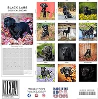 Vista 993 de Razas de Perros 2017