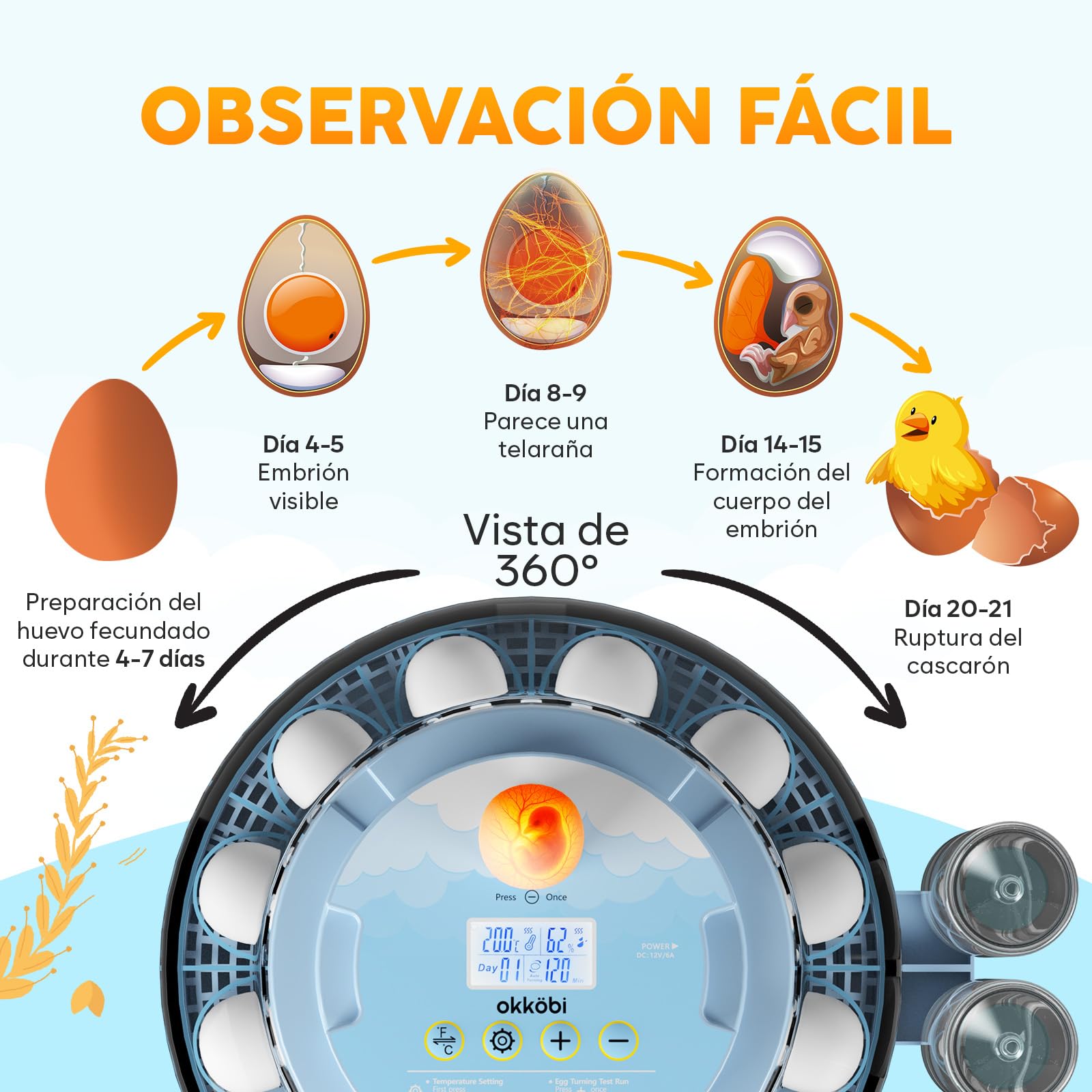 Incubadora de Huevos Automática 18 Huevos – Incubadora con Giro Automático, Control de Humedad, Botellas de Agua, Ventilación, Vista 360° y Luz para Revisar Huevos | Alarma de temperatura con ventilador interno, mire-huevo incorporado, vista de 360 grados