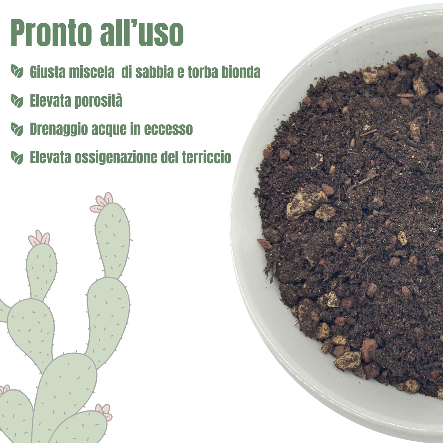 Libro Cactus e piante grasse Demetra | Leroy Merlin