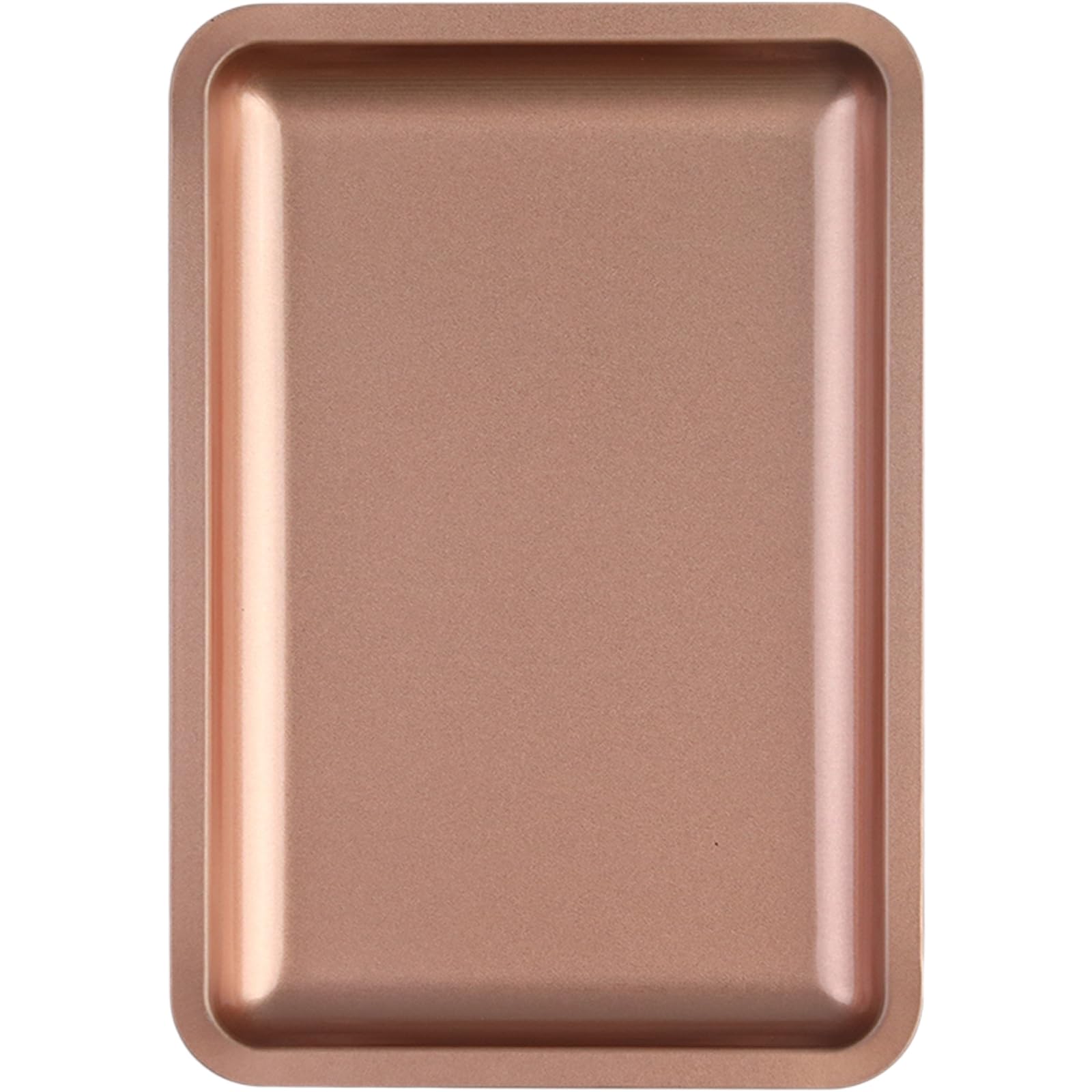 oringnat Nails Art Equipment Plate Stainless Steel Jewelry Tray False Nails Cosmetic Tool Organized for Salon and Home