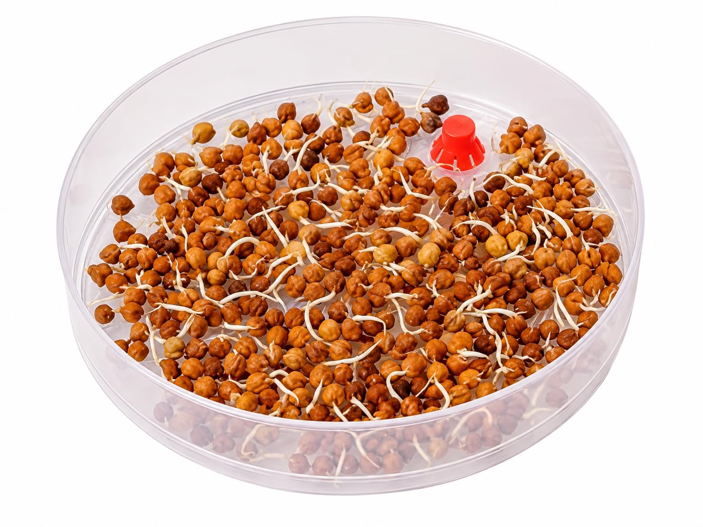 Fivanio ABS Plastic Sprout Maker Box - Sprout Maker with 2 Container, Multicolour 1