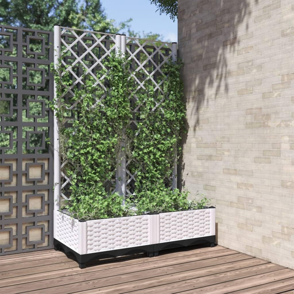 Fioriera da Giardino con Graticcio Marrone 80x40x121,5 cm in PP