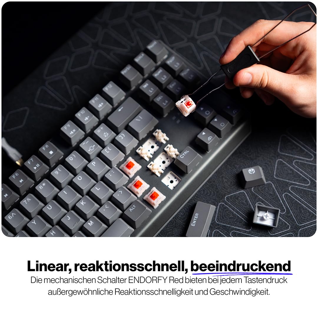 ENDORFY Thock V2 TKL DE EY5D036, mechanische Gaming-Tastatur, deutsches QWERTZ-Layout, lineare Red Switches, Hot-Swap, PBT-Keycaps, ARGB, abnehmbares USB-C-Kabel, 3-Lagen-Schalldämmung, Grau
