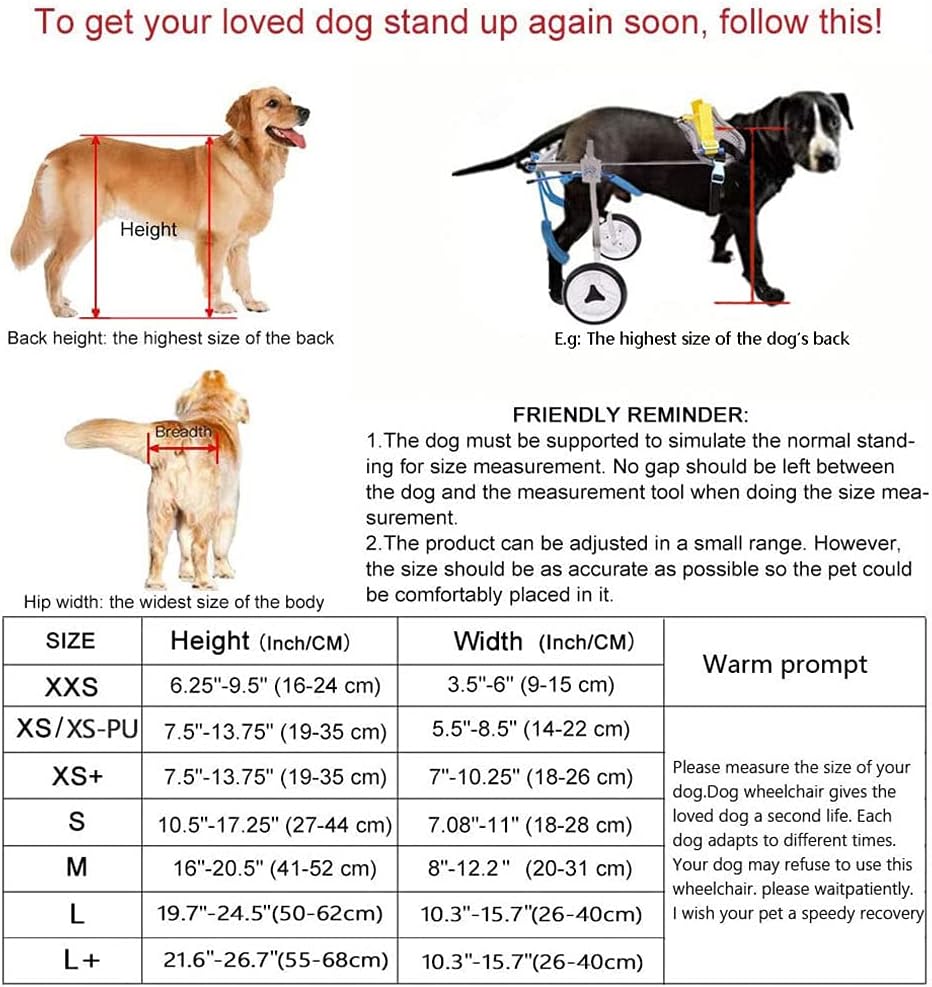 How Do I Measure My Dog For A Wheelchair